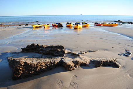 Broome Adventure Co. Turtle Kayak tours, Broome